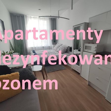 Apartament Elblag Goodenergy - Stare Miasto, Oldtown, Altstadt Esterno foto